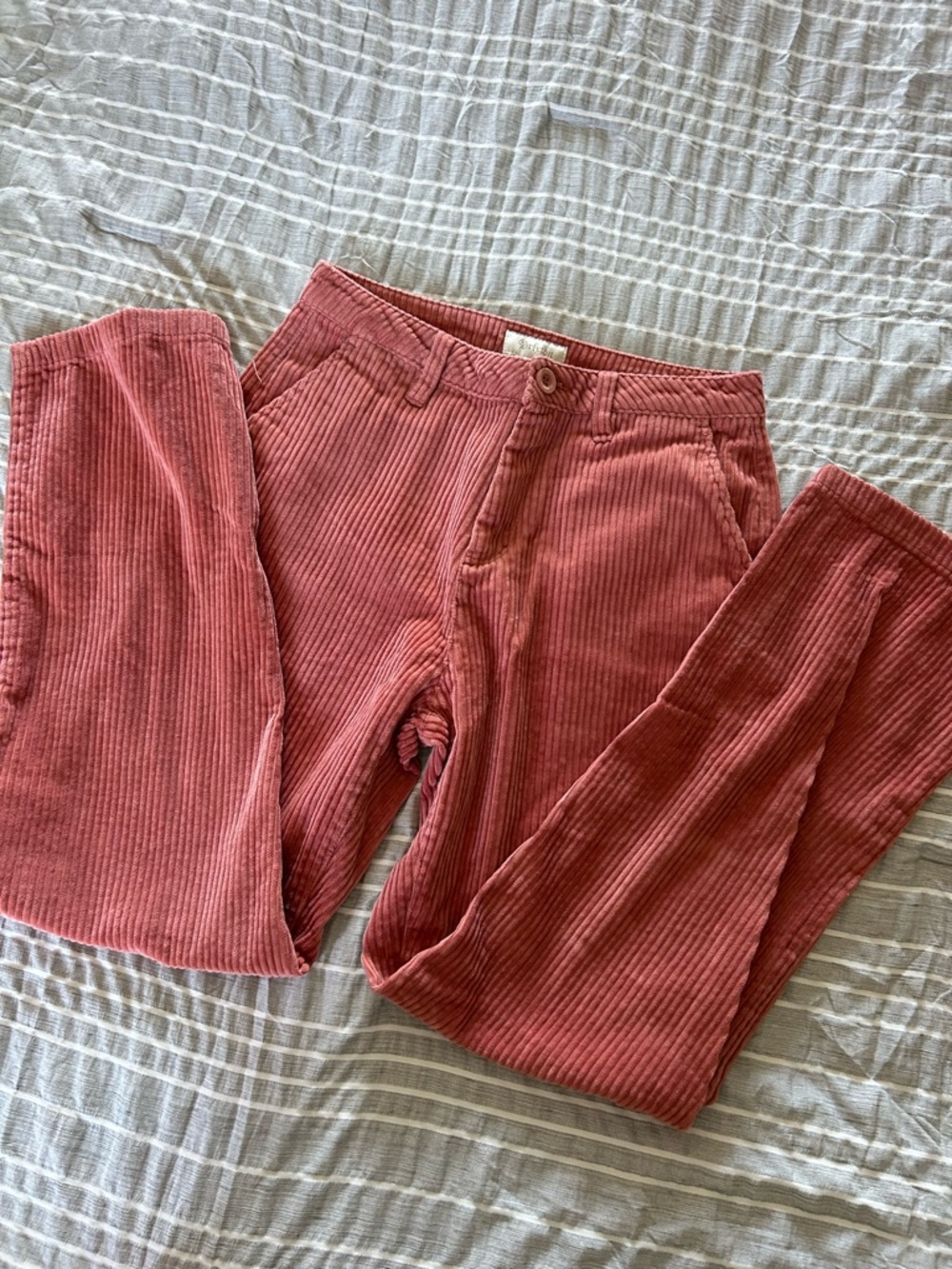 Corduroy Pants in Dusty Rose - Classic Fit